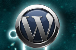 word perfect logo blue green