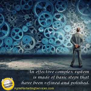 effective_complex_system